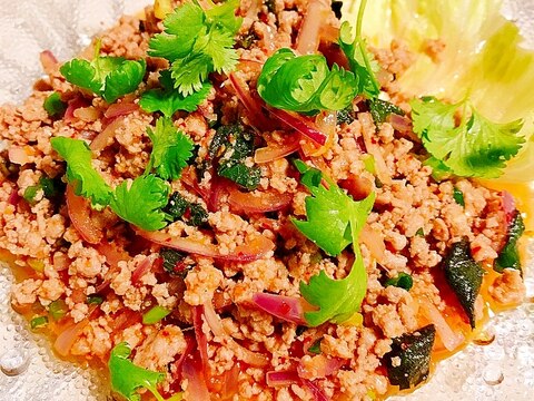 本格タイ料理✦ラープムー✦豚挽き肉サラダ
